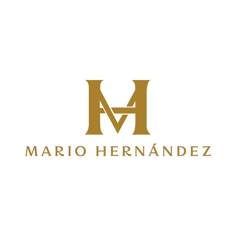 Inicio 04 Mario Hernandez