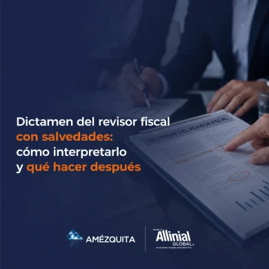 dictamen del revisor fiscal con salvedades