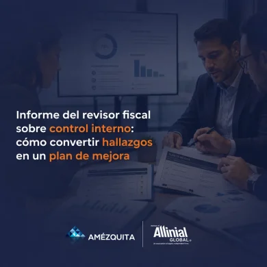 informe del revisor fiscal sobre el control interno