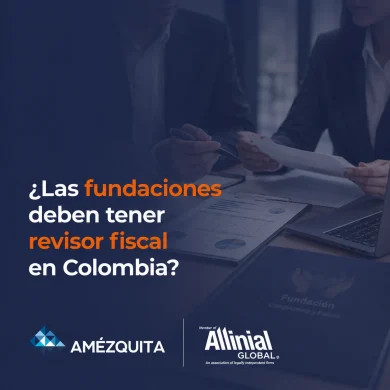las fundaciones están obligadas a tener revisor fiscal