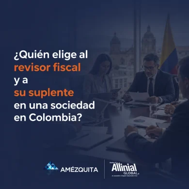 ¿quién debe elegir al revisor fiscal?