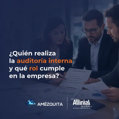 quién realiza la auditoría interna