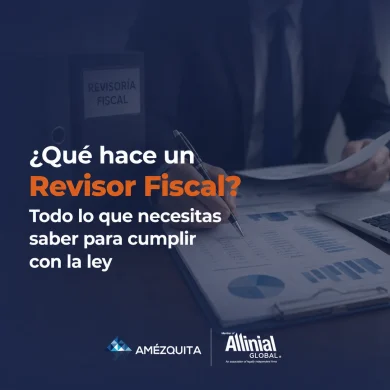 qué es un revisor fiscal